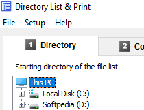 directory list and print